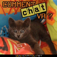 Moi oué et toi ???
